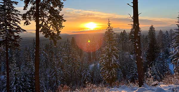 Winter Sunset
